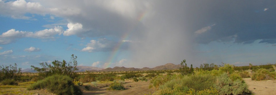 Rainbow